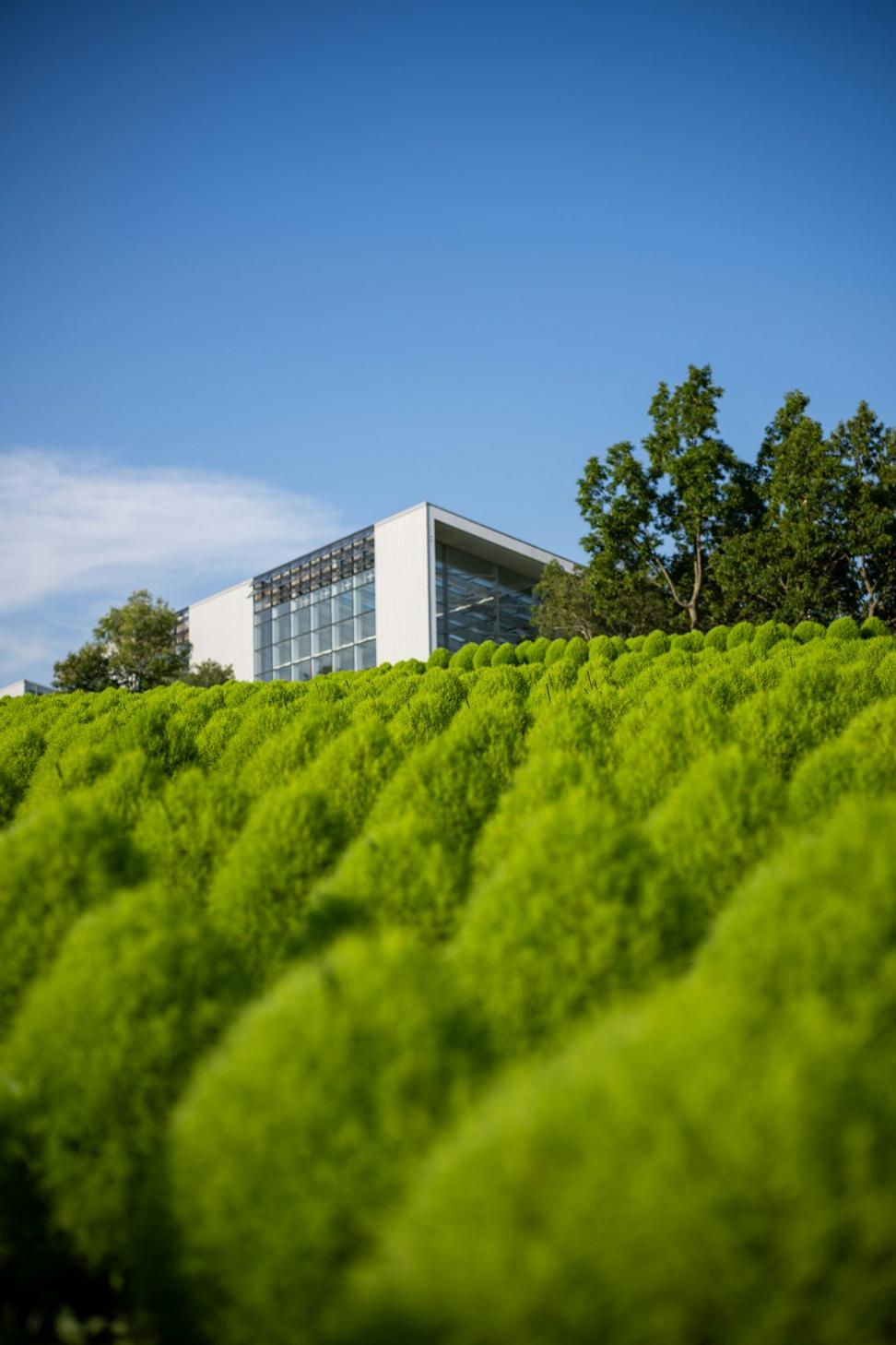 LEED certification